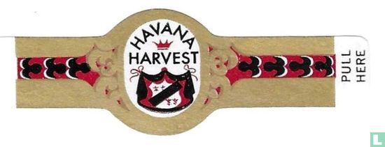 Harvest Havana - Afbeelding 1