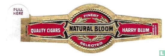 Natural Bloom Finest Selected - Harry Blum - Quality Cigars - Afbeelding 1
