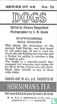 Staffordshire Bull Terrier - Afbeelding 2