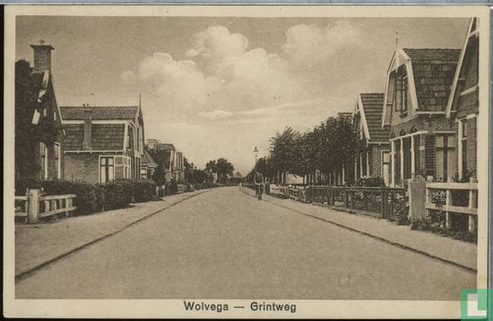 Wolvega - Grintweg