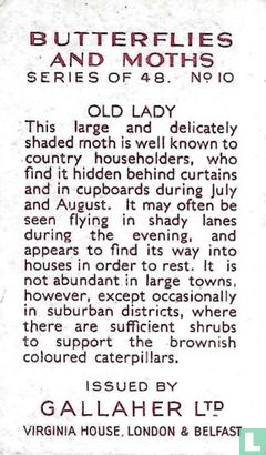 Old Lady - Afbeelding 2