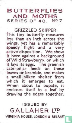 Grizzled Skipper - Afbeelding 2