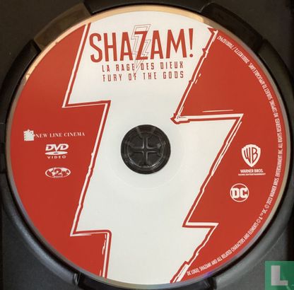 Shazam! Fury of the Gods - Bild 3