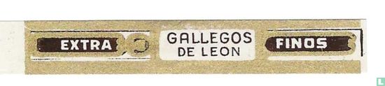 Gallegos de Leon - Finos - Extra - Image 1
