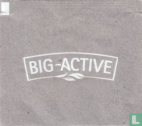 Big-Active - Image 1