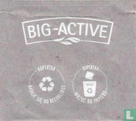 Big-Active - Image 2