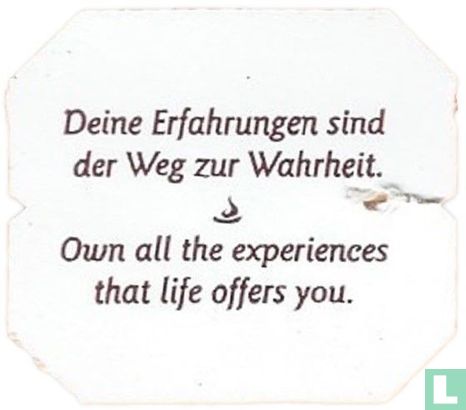 Deine Erfahrungen sind der Weg zur Wahrheit. Own alle the experiences that life offers you. - Image 1