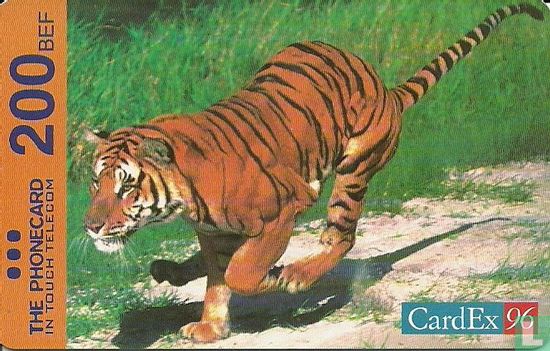 CardEx '96 - Bild 1