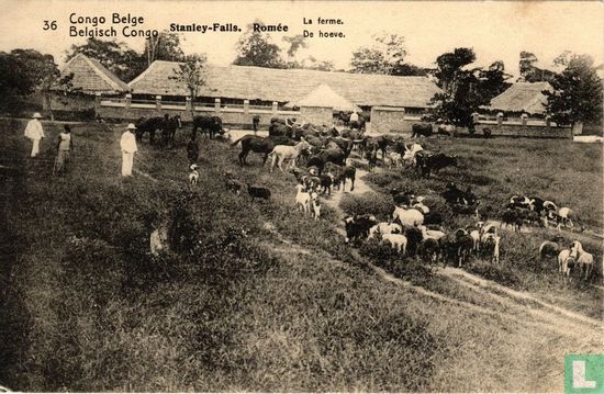 36 Stanley-Falls - Romée - The farm - Image 2