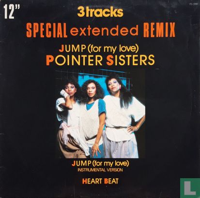 Jump (for My Love) (Special Extended Remix) - Image 1