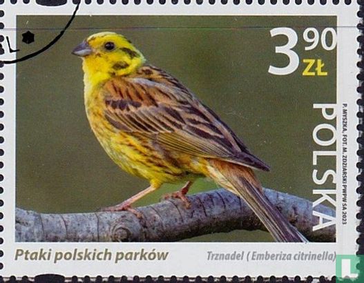 Vogels uit Polen