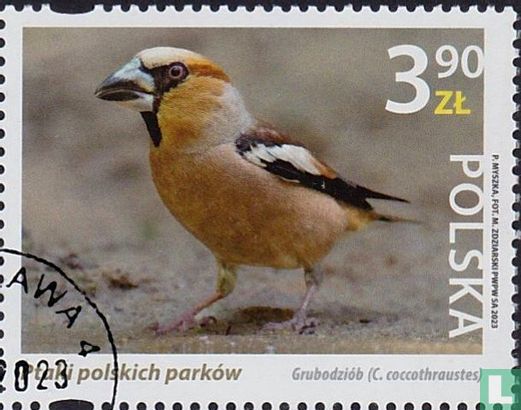 Vogels uit Polen