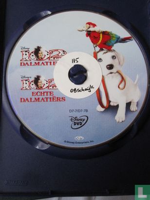 102 Echte dalmatiërs - Bild 3