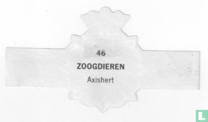 Axishert - Afbeelding 2