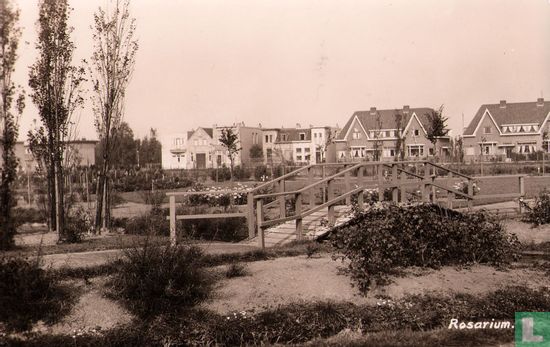 Rosarium - Bild 1