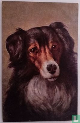 Chien "Lassie" - Afbeelding 1