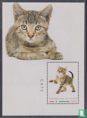 Cats