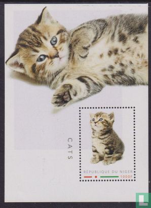Cats