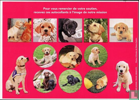 Chiens guides d'aveugles - Geleidehonden voor blinden