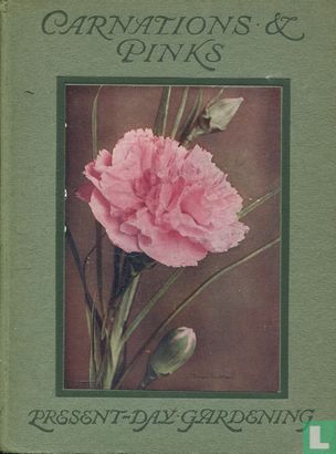 Carnations & Pinks - Bild 1
