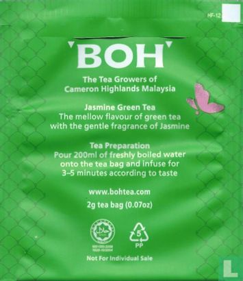 Jasmine Green Tea - Afbeelding 2
