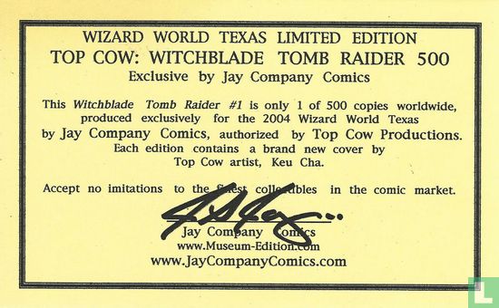 Witchblade/Tomb Raider 1 - Image 3
