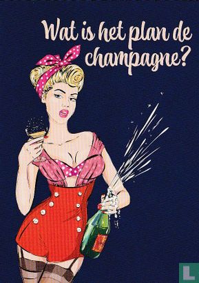 B230183 - leuke plannen maken "Wat is het plan de champagne?" - Afbeelding 1