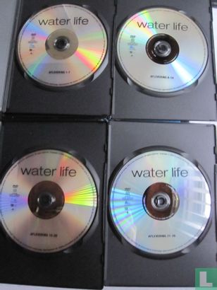 Water Life - Image 3