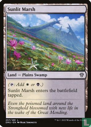 Sunlit Marsh - Image 1