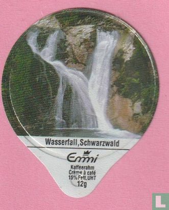 Wasserfall, Schwarzwald