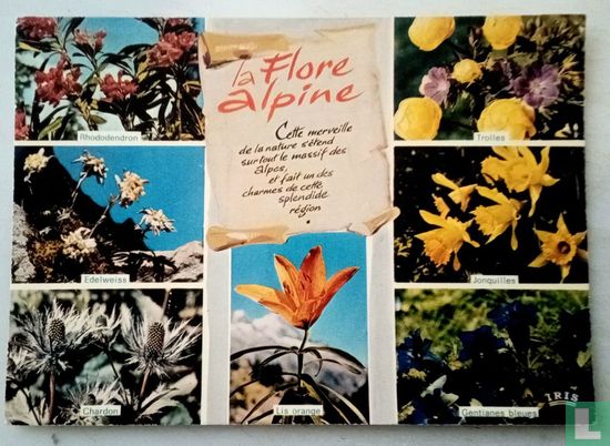La flor alpine - Image 1