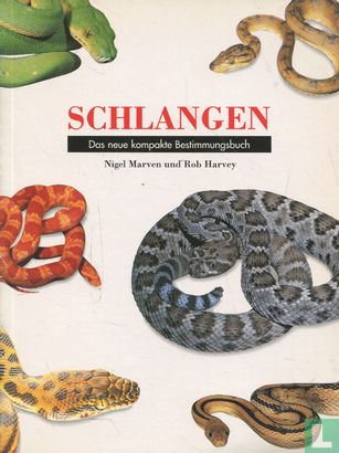 Schlangen - Bild 1