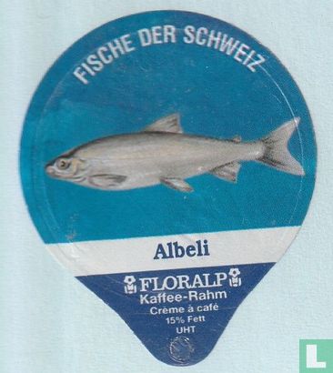 Albeli