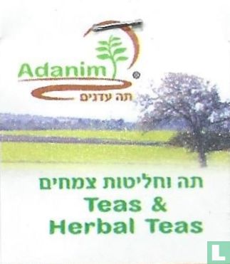 Teas & Herbal Teas - Bild 3