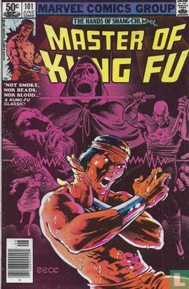 Master o Kung Fu 101 - Image 1