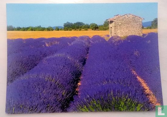 Image de Provence - Afbeelding 1