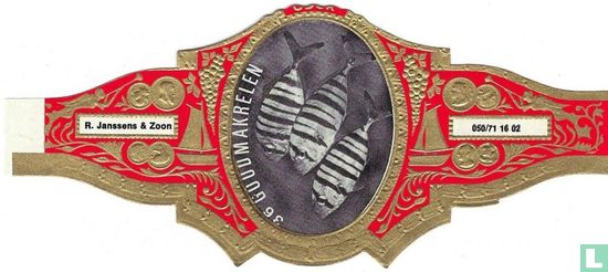 Goudmakrelen - Afbeelding 1