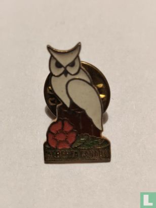 Alberta Wild Rose & Owl - Afbeelding 1
