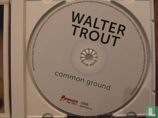 Common Ground - Image 3
