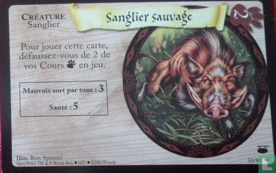 Sanglier sauvage - Afbeelding 1