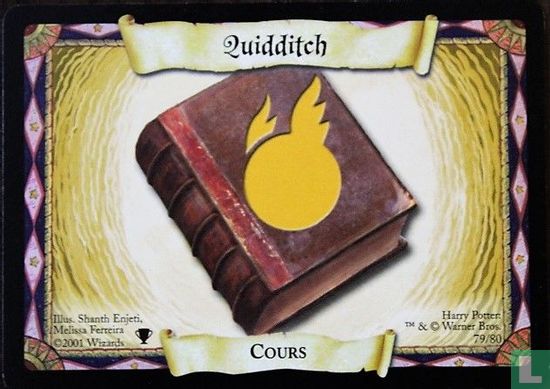 Quidditch - Bild 1
