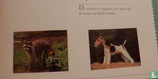 Meneer Pit en het ding - Image 3