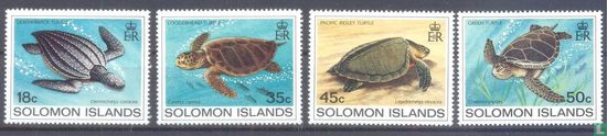 Turtles