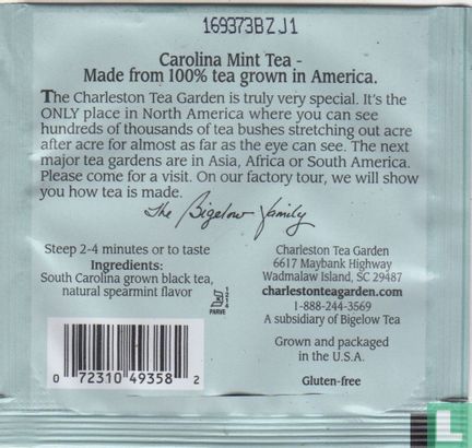 Carolina Mint Tea - Image 2