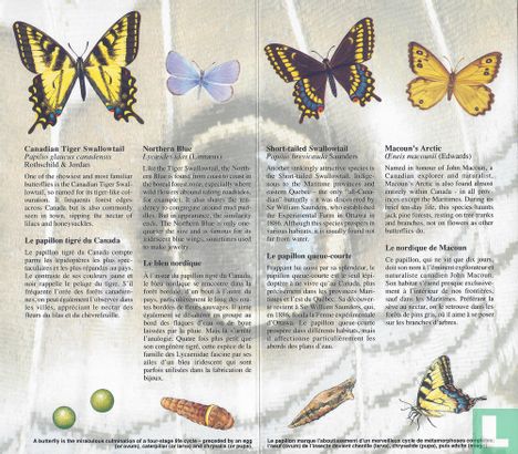 Butterflies of Canada - Image 2