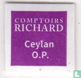 Ceylan O.P. - Image 3