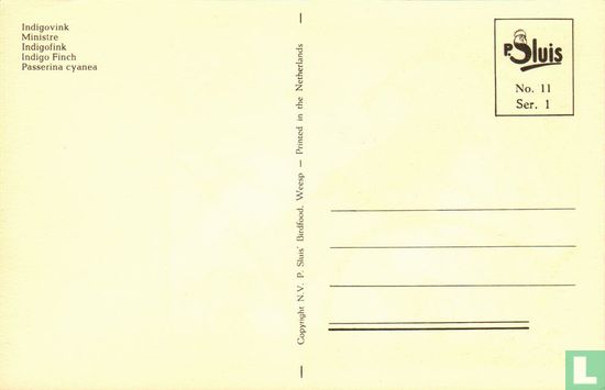Indigovink - Image 2