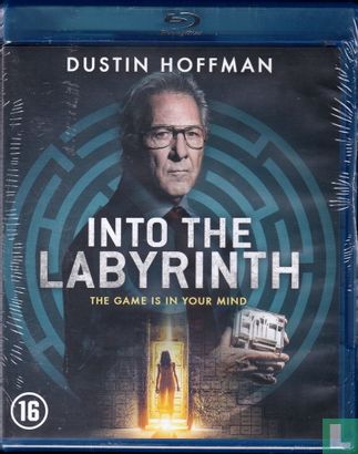 Into the Labyrinth - Afbeelding 1