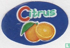  Citrus - Image 2