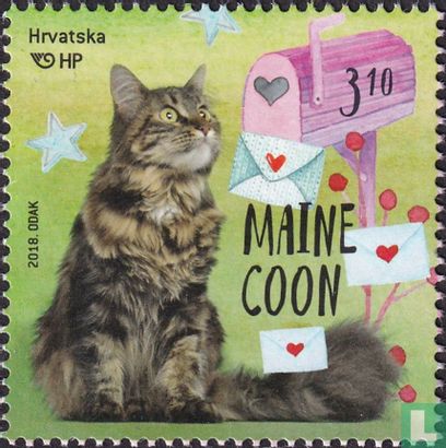 Maine-Coon-Katze